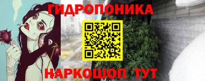 jwh Рыбинск