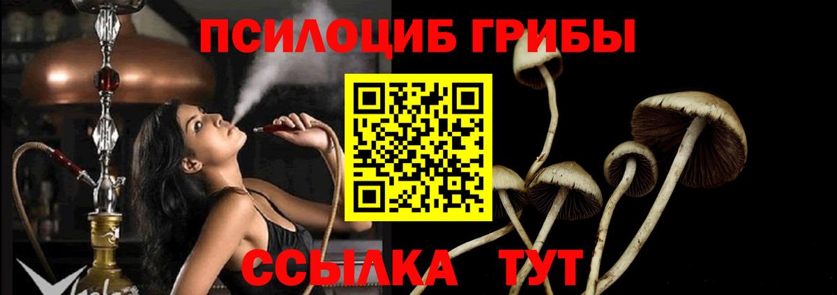 Партизанск  Галлюциногенные грибы Magic Shrooms  Вход с VPN 